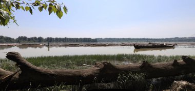 Kereste kütükleriyle nehir kıyılarının manzarası