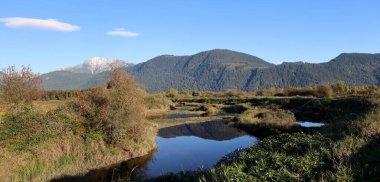  Dağ eteğindeki bataklıklar ve göller