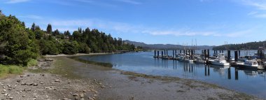 Limanda demirlemiş tekneleri olan Panorama