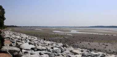 Beyaz Kaya Okyanus Koyu 'nda gelgit