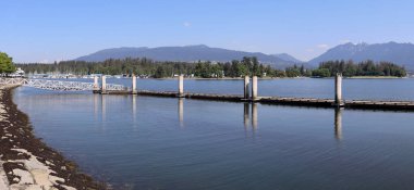 Coal Harbor ve Stanley Park manzarası