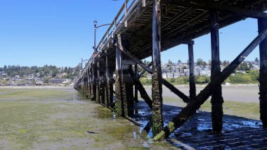 Beyaz Kaya İskelesinin Altında Perspektif