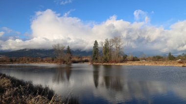 Huzurlu nehirde yansıyan sonbahar ağaçları