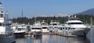 Vancouver Kömür Limanı marinasına demirlemiş tekneler