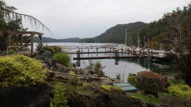 Marina sakin bir okyanus koyunda saklanıyor.