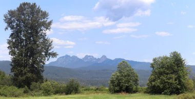 Yeşil çimenli ve uzak dağlı bahar manzarası