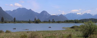 British Columbia Kanada 'nın kır manzarası
