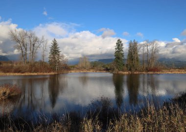 Sükunet nehrine yansıyan sonbahar ağaçları