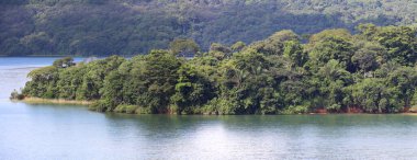 Tatlı su gölündeki tropikal adanın bitkileri