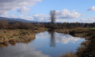Sonbahar manzarasının sarı ve kahverengi renkleri