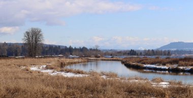 Huzurlu nehir ve kuru otlarla dolu kış manzarası