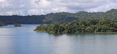 Panama Kanalı 'ndaki yemyeşil orman adaları