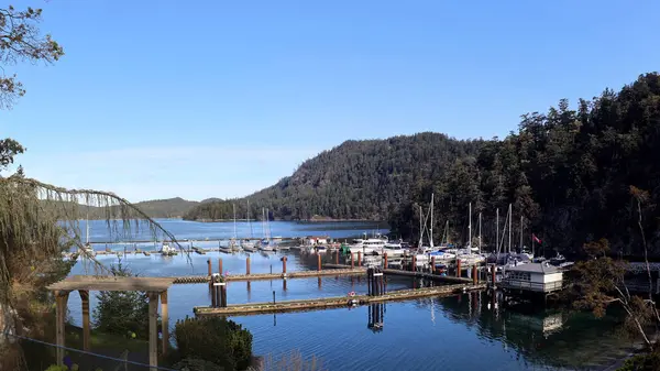 Pender Adası 'ndaki yat limanında sabah