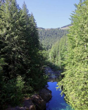 Huzurlu dağ nehrinin yaz perspektifi
