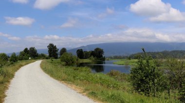 Nehirde güneşli bir yaz günü
