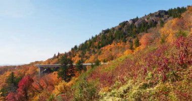 Blue Ridge Parkway yolunda arabaları olan Renkli Sonbahar Dağları Ağaçları. Geniş açı kilitlendi. Yüksek kaliteli 5.7K görüntü, REC709 ACES
