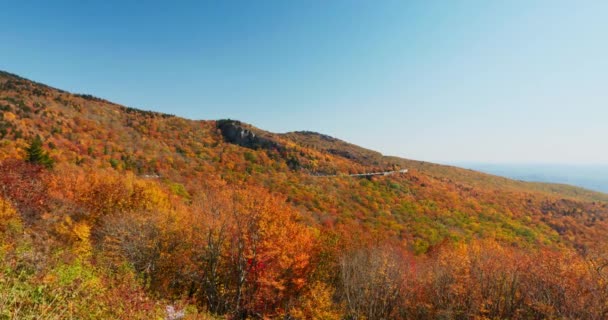 Vue Panoramique Large Des Arbres Colorés Montagne Automne Avec Des — Video