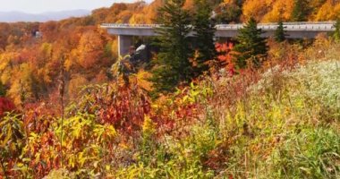 Dağların etrafını saran yükseltilmiş bir yol ile bir dağın yamacına 4K yaprakları dökülüyor. Canlı, turuncu ve yeşil ağaçlarla sonbahar manzarası. Blue Ridge Parkway, Kuzey Carolina, ABD. Sıkı eğik atış.