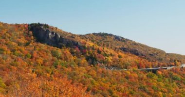 Blue Ridge Dağları 'nda sonbahar yapraklarının 4K Panning çekimi. Canlı, renkli ağaçlarla dolu bir araziye düşmek. Blue Ridge Parkway, Kuzey Carolina, ABD. Yüksek kalite 4K görüntü. As 'lar - Çıktı REC.709