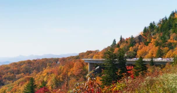 秋の間 サウスカロライナ州のブルーリッジ パークウェイ カラフルな秋の木々の山の中腹に充填 遅いカメラパン 高品質の4K映像 Rec709 Aces — ストック動画