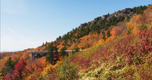 Autumn Foliage Mountainside Overlooking Blue Ridge Mountains Fall Landscape Vivid — Stockvideo