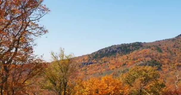 ブルーリッジ山脈の4K秋の紅葉 鮮やかでカラフルな木々と秋の風景 ブルーリッジ パークウェイ アメリカ合衆国ノースカロライナ州の公園 広い追跡ショット 高品質4K映像 Aces Rec 709 — ストック動画