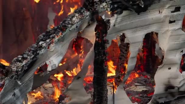 건물의 불길에 총성을 합니다 재파편의 발자국 고품질 — 비디오