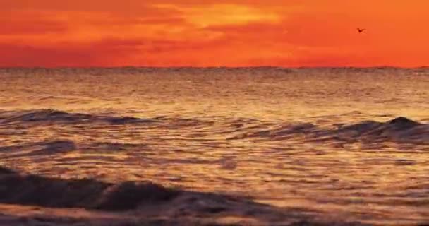 Alba Surreale Dell Oceano Con Nuvole Rosse Arancioni Gialle Onde — Video Stock