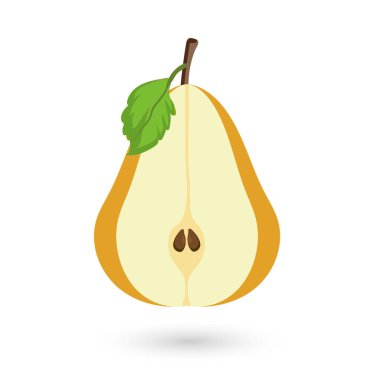 İzole edilmiş beyaz arka planda olgun armut meyvesi. Beyaz zemin üzerinde yarım dilimlenmiş sarı armut meyvesi, tatlı armut organik sağlıklı meyve, vektör illüstrasyon tasarımı