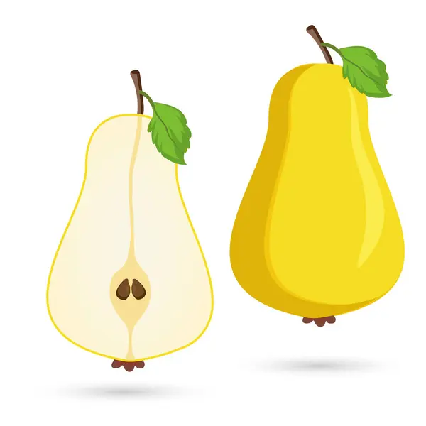 两片成熟的梨子及其果实 在孤立的背景上切下两片黄色梨子果 健康梨果概念的切割 — 图库矢量图片