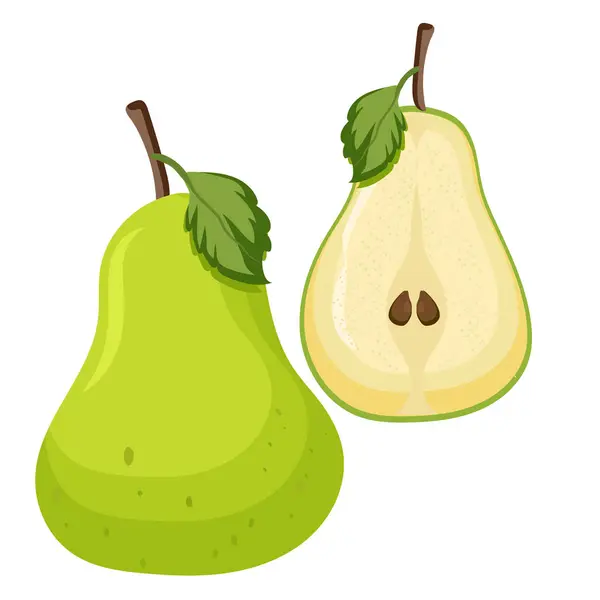 Dos Pedacitos Frutas Pera Verde Sobre Blanco Sobre Fondo Aislado — Vector de stock