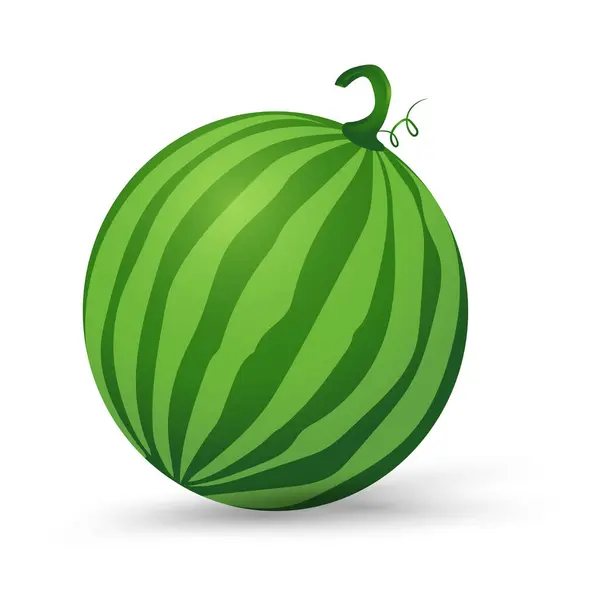 新鲜西瓜有机水果 绿色有机西瓜载体图解 平面设计 白色背景分离 — 图库矢量图片