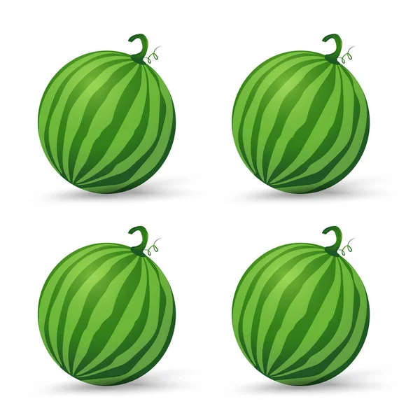 一组新鲜西瓜有机水果 绿色有机西瓜载体的平面设计图解 白色背景分离 — 图库矢量图片