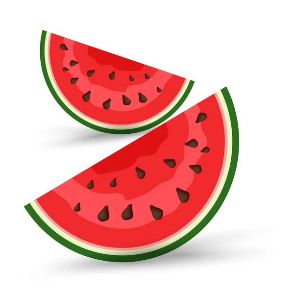 Two Pieces Fresh Watermelons Organic Fruit Green Organic Watermelon Vector — Stock Vector