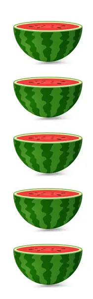 Fünf Geschnittene Frische Wassermelonen Fruchtstücke Vektor Sets Frische Wassermelonen Bio — Stockvektor