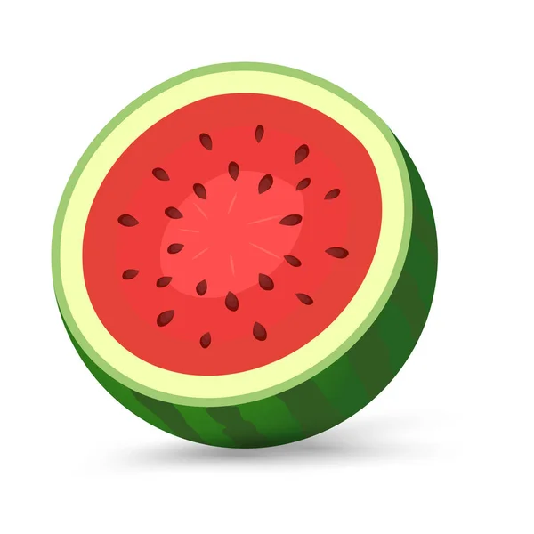 Fresh Green Watermelon Cut Piece Red Part Watermelon Cut Isolated — Stock Vector