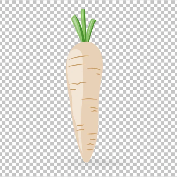 White Carrots Icon Isolated White Background Vector Illustration — Stock Vector