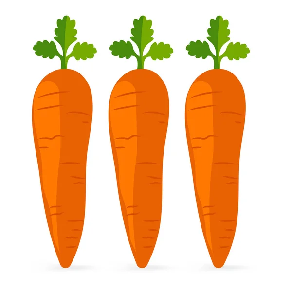 Drei Fruchtige Karotten Vektorsymbol Und Symbol Isoliert Auf Weißem Hintergrund — Stockvektor