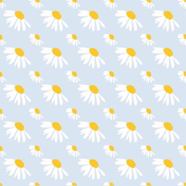 Papatya çiçekleri kusursuz desen, tekstil, çayır ve el çizimi papatya çiçeği mavi arkaplan çizimi