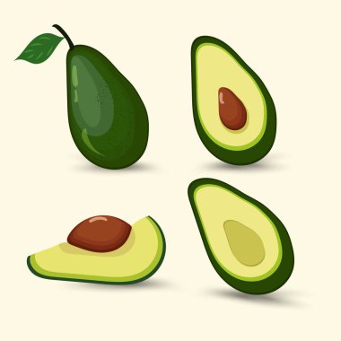 Avokado yeşil meyve kavramları, sağlıklı avokado meyveleri kabukları, soyulmuş arka planda yeşil yapraklar. Avokado vektör grupları, illüstrasyon