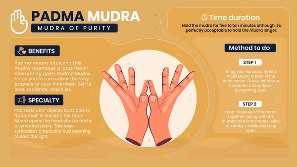 Εξερευνώντας Οφέλη Χαρακτηριστικά Και Λειτουργία Του Padma Mudra Vector Illustration — Διανυσματικό Αρχείο