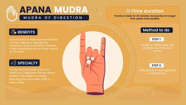 Εξερευνώντας Οφέλη Χαρακτηριστικά Και Λειτουργία Του Apana Mudra Vector Illustration — Διανυσματικό Αρχείο