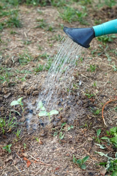 Spring Seasonal Irrigation Water Fertilizer Well Loosening Land Oxygen Access — Stok Foto