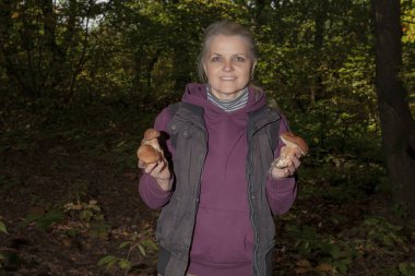 Bulbosus Boletus Edulis. Mantar koleksiyonu. Beyaz mantarlar bir kadının elinde