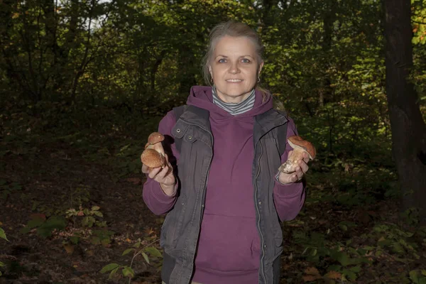 Bulbosus Boletus Edulis. Mantar koleksiyonu. Beyaz mantarlar bir kadının elinde