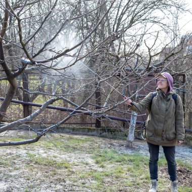 Koruyucu gözlüklü bir kadın, çiçek açan bir meyve ağacına mantar ilacı sıkıyor bitki ve böcek hastalıklarına karşı. Bahçede böcek ilacıyla şarj edilebilir sprey kullanılmış..