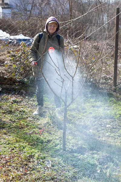 Wanita Berkacamata Pelindung Menyemprotkan Fungisida Pohon Buah Berbunga Untuk Melawan — Stok Foto