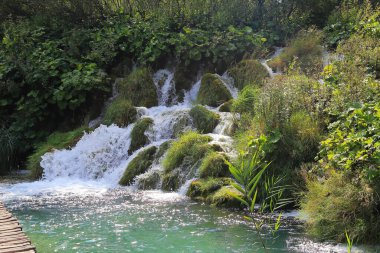 PLITVICE, CROATIA - 13 Eylül 2016: Bu Plitvice Gölleri Ulusal Doğa Koruma Alanı 'ndaki yürüyüş yolu boyunca uzanan küçük şelalelerden birinin görüntüsü.