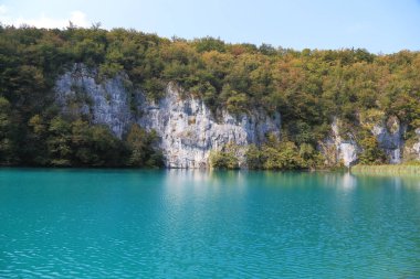 PLITVICE, CROATIA - 13 Eylül 2016: Bu Plitvice Gölleri Ulusal Doğa Koruma Alanındaki turkuaz suyu ile göllerden biri..