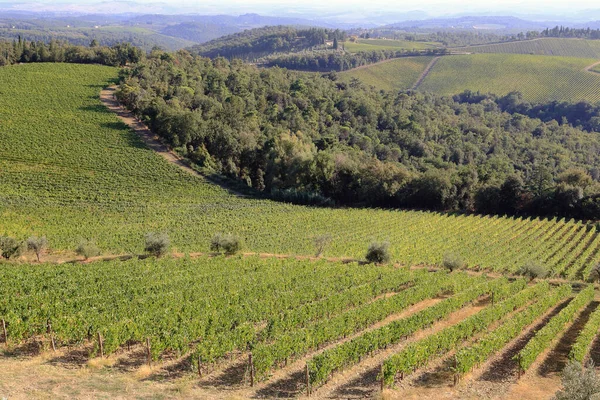Włochy Wrzesień 2018 Jest Wiejski Krajobraz Doliny Chianti Licznymi Winnicami — Zdjęcie stockowe
